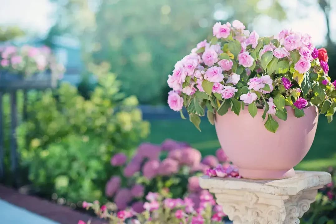 季節の花を楽しむ寄せ植えアイデア