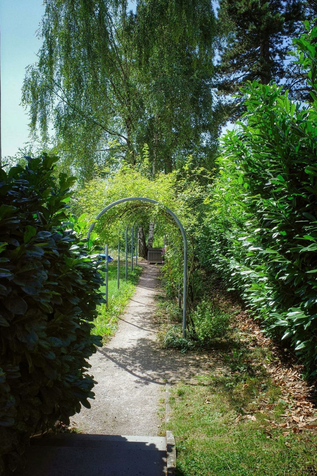 みどり庭園 15