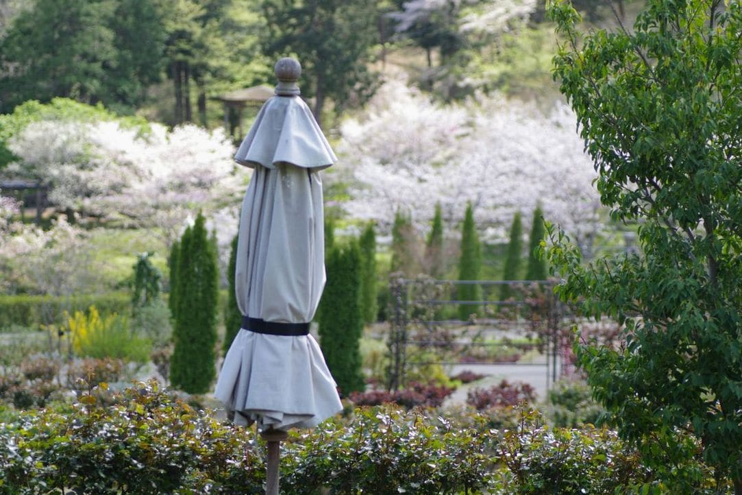 みどり庭園 5