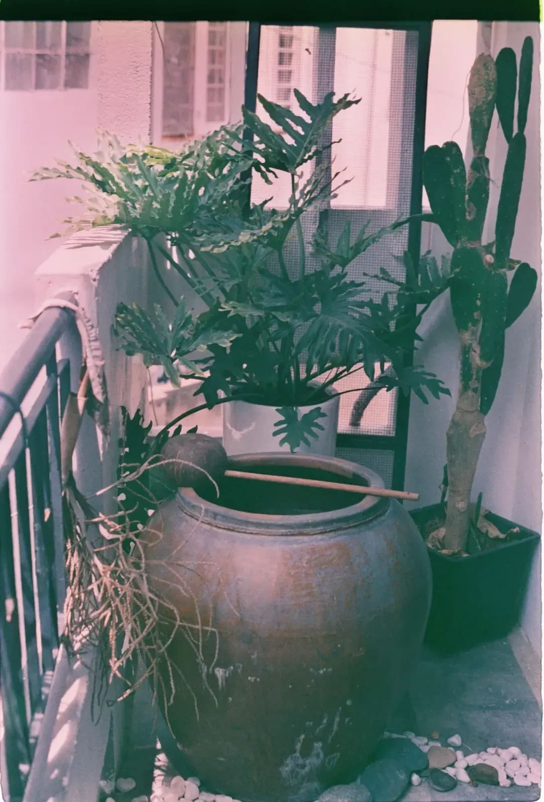 季節の花壇づくり